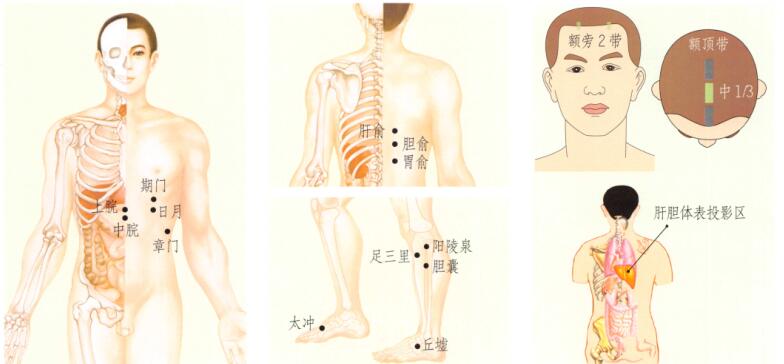 胆囊炎-胆石症刮痧哪个部位图解-刮痧哪个穴位最好