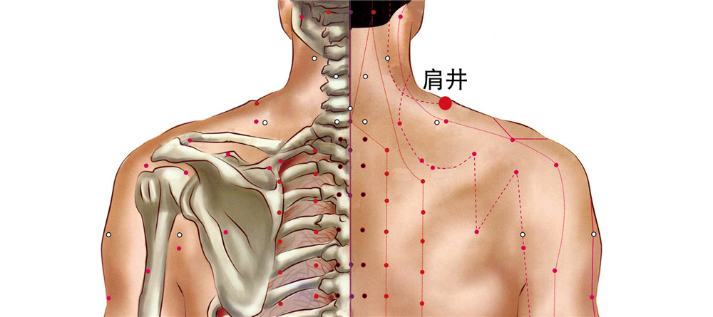 肩井穴的准确位置图