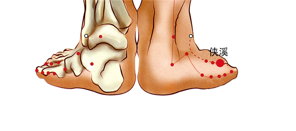 侠溪穴的准确位置图和作用-功效-图片-乡间郎中