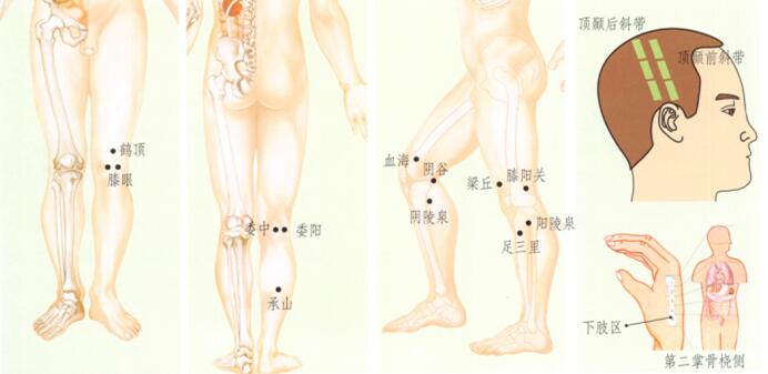 膝关节痛刮痧 刮痧哪个穴位 刮哪里 刮痧什么位置 乡间郎中