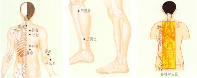 湿疹刮痧 刮痧哪个穴位 刮哪里 刮痧什么位置 乡间郎中