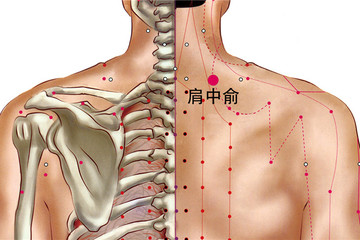 肩中俞穴