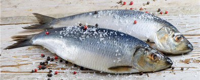 青鱼的功效与作用及青鱼不能和什么一起吃 同吃 乡间郎中