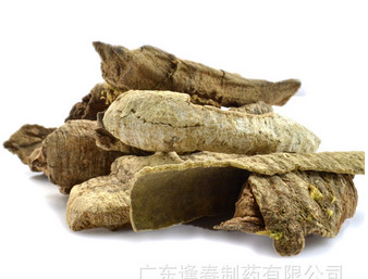 救必应的功效和别名=救必应是什么药 有没有别名