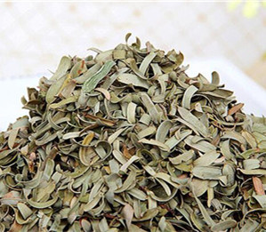 归经:归心,肝,大肠经.  油柑叶的功效与作用 清热解毒,利湿消肿.