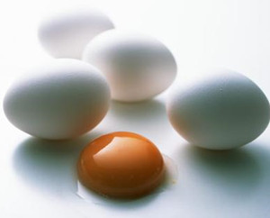 鸭卵主治什么病症及功能