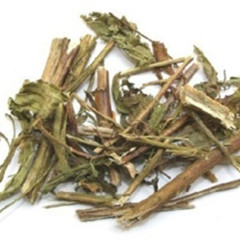 中医馆 中草药 补虚药 大黑药daheiyao 性味:味苦,性平.