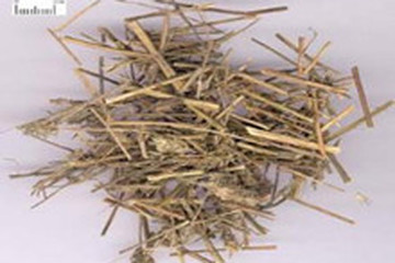香茅茶的功效与作用禁忌