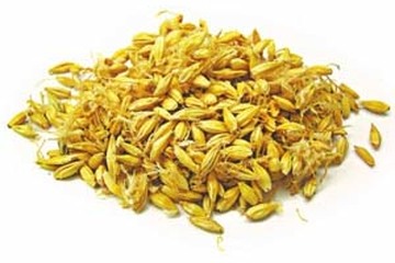 谷芽茶的功效与作用禁忌