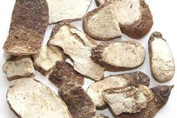 白附子茶的功效与作用禁忌