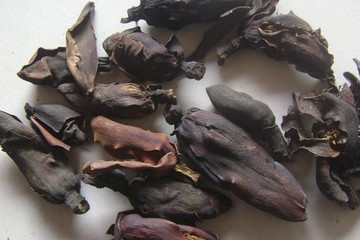 厚朴花茶的功效与作用禁忌