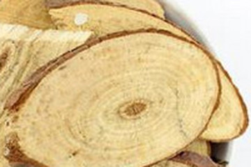 油松节茶的功效与作用禁忌