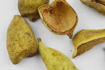 木莲果茶的功效与作用禁忌