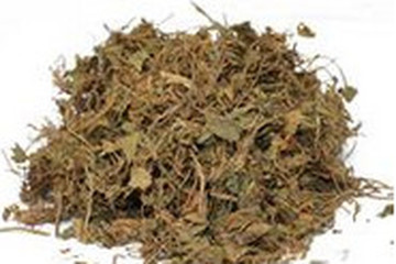 雷公根茶的功效与作用禁忌