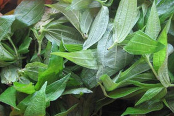 赐米草