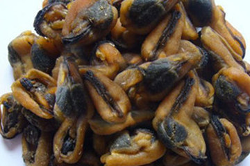 淡菜茶的功效与作用禁忌