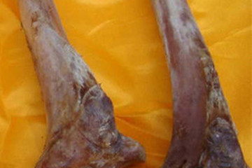 鹿骨茶的功效与作用禁忌