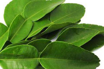 柠檬叶茶的功效与作用禁忌