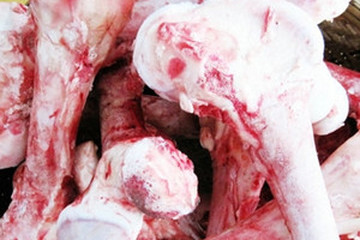 牛骨茶的功效与作用禁忌