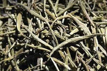竹卷心茶的功效与作用禁忌