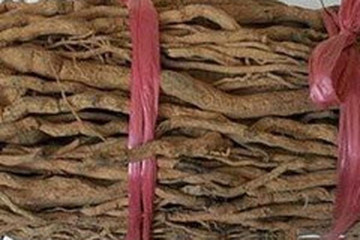 山胡椒根茶的功效与作用禁忌