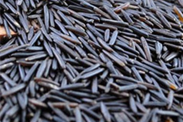 菰米茶的功效与作用禁忌