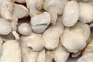 关白附子茶的功效与作用禁忌