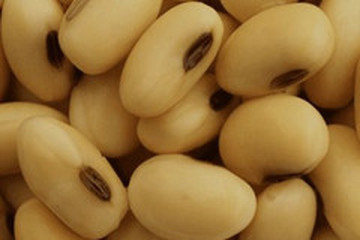 黄豆茶的功效与作用禁忌