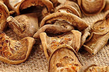 预知子茶的功效与作用禁忌