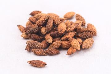 苍耳子茶的功效与作用禁忌