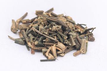 穿心莲茶的功效与作用禁忌