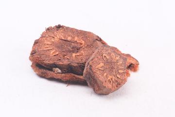 贯众茶的功效与作用禁忌