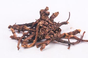 胡黄连茶的功效与作用禁忌