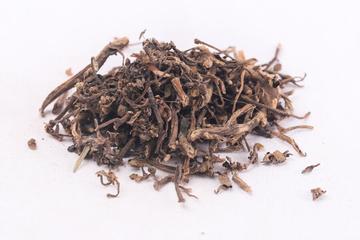 马齿苋茶的功效与作用禁忌