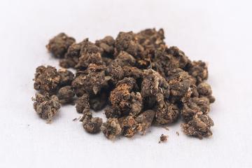 猫爪草茶的功效与作用禁忌