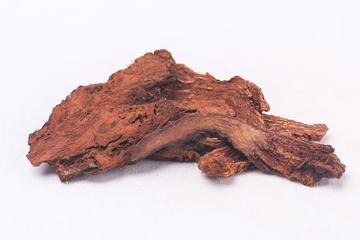 锁阳茶的功效与作用禁忌