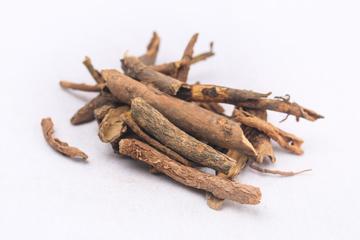 五加皮茶的功效与作用禁忌