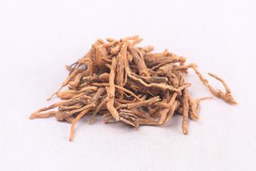 远志茶的功效与作用禁忌