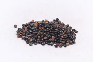 枳椇子茶的功效与作用禁忌