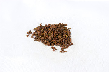 莱菔子茶的功效与作用禁忌