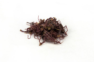 紫菀茶的功效与作用禁忌