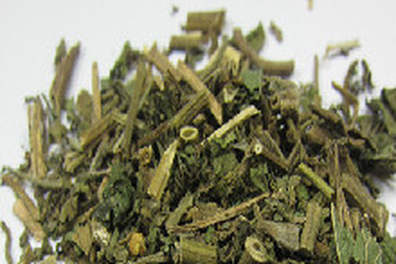 葎草茶的功效与作用禁忌